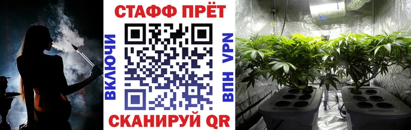 Как найти наркотики Новосиль Кокаин  Alpha-PVP  Конопля  ГАШИШ 