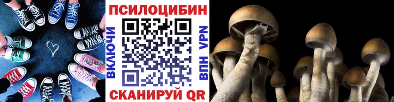 Псилоцибиновые грибы Magic Shrooms  цены наркотик  Новосиль 